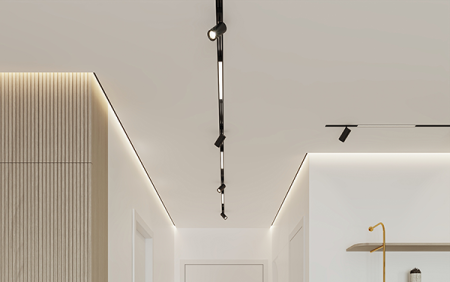 Светильник спот  29156 Track 25 с механическим CCT-переключателем, Lumfer